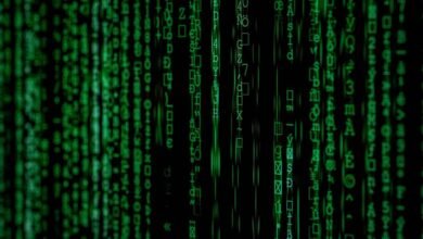 phone number identity search