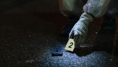 uncover hidden numerical meanings