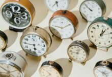 master dataset collection numbers