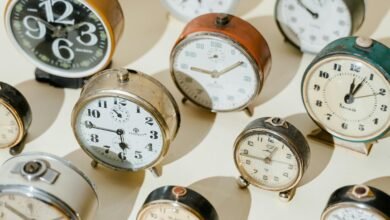 master dataset collection numbers