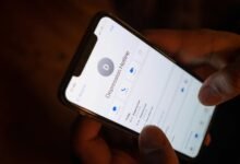 hotline and support numbers