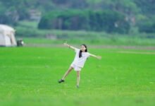 activity summary and trends