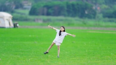 activity summary and trends