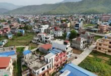 identifier presence summary report