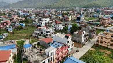 identifier presence summary report