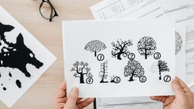 numerical evaluation of identifiers