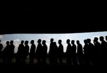 profile metrics analysis tool