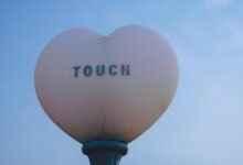 sapiosexuality concept and usage