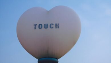 sapiosexuality concept and usage