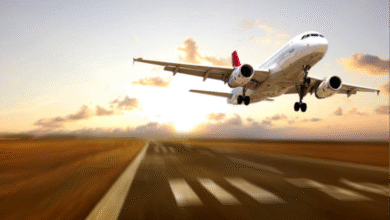 Everything You Need to Know About Flights from Atlanta to Chennai 